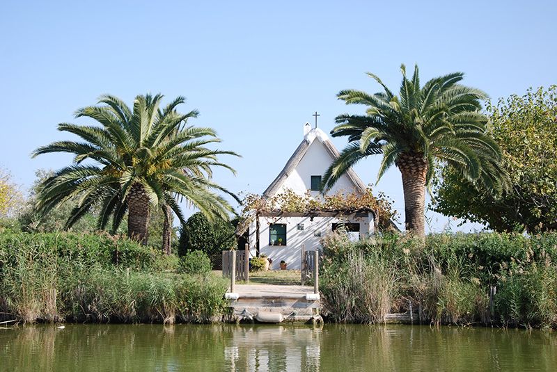 barraca el palmar