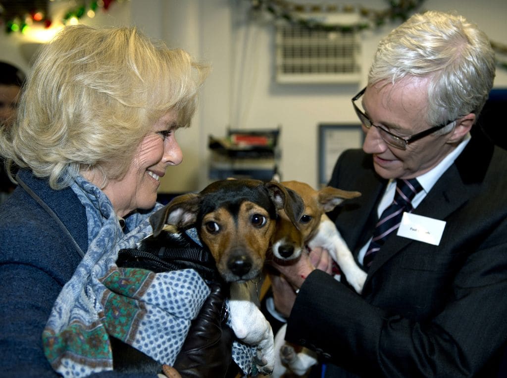 Camilla, Duchess of Cornwall stands next to television presenter Paul O'Grady while holding her two adopted dogs Bluebell and Beth 