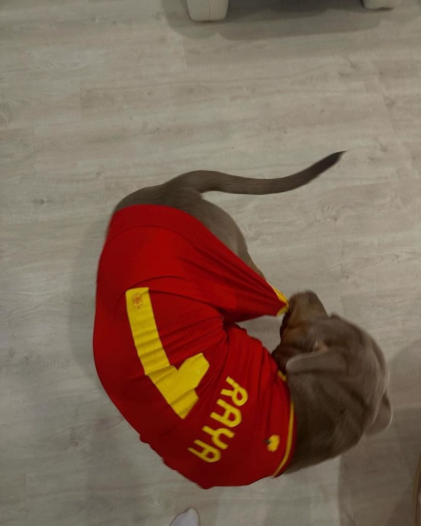 Mascota de Tatiana Trouboul con la camiseta de la selección