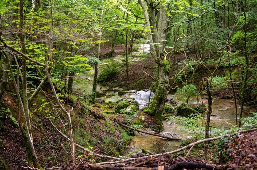 Ruta a la cascada de Las Pisas, Las Merindades, norte de Burgos