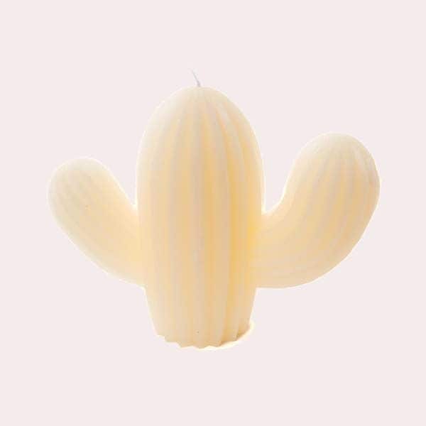 vela cactus banak