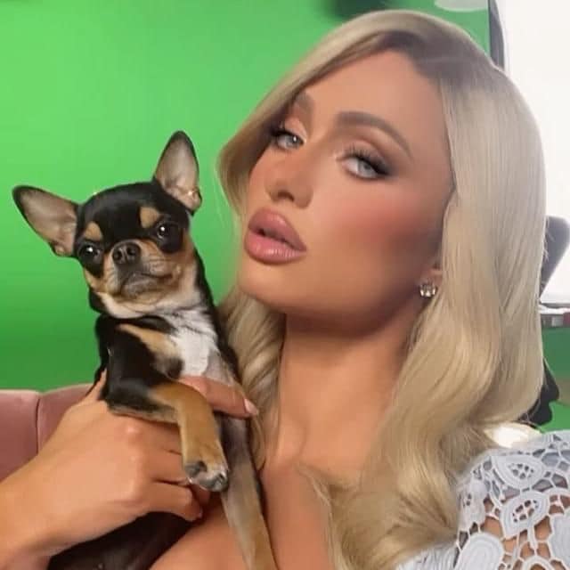 Paris Hilton y su perrita, Diamond Baby