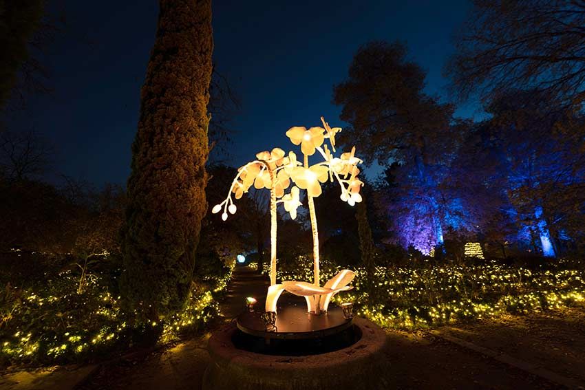 Naturaleza-Encendida_jardin-botanico-madrid3