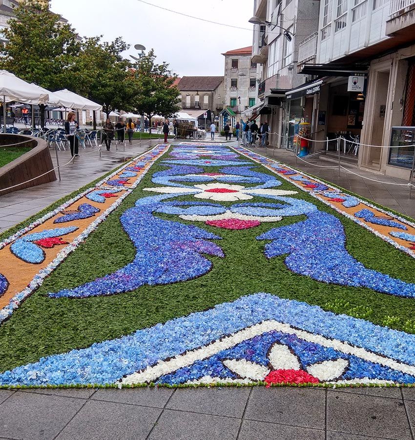 Alfombra de flores, Fiesta del Corpus, Ponteareas, Pontevedra, Galicia