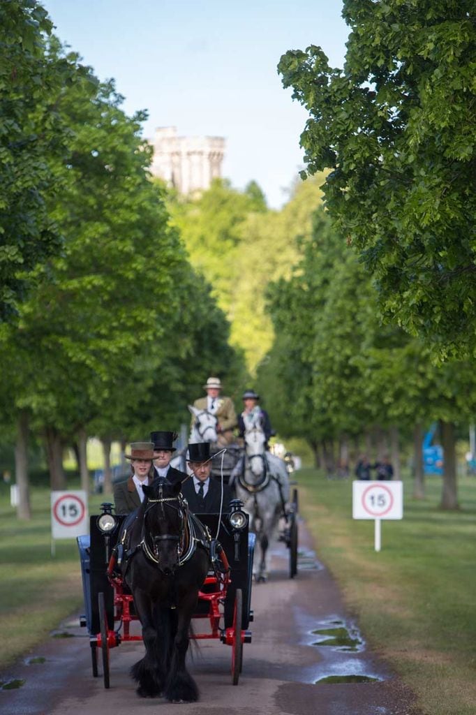 Lady Louise Windsor