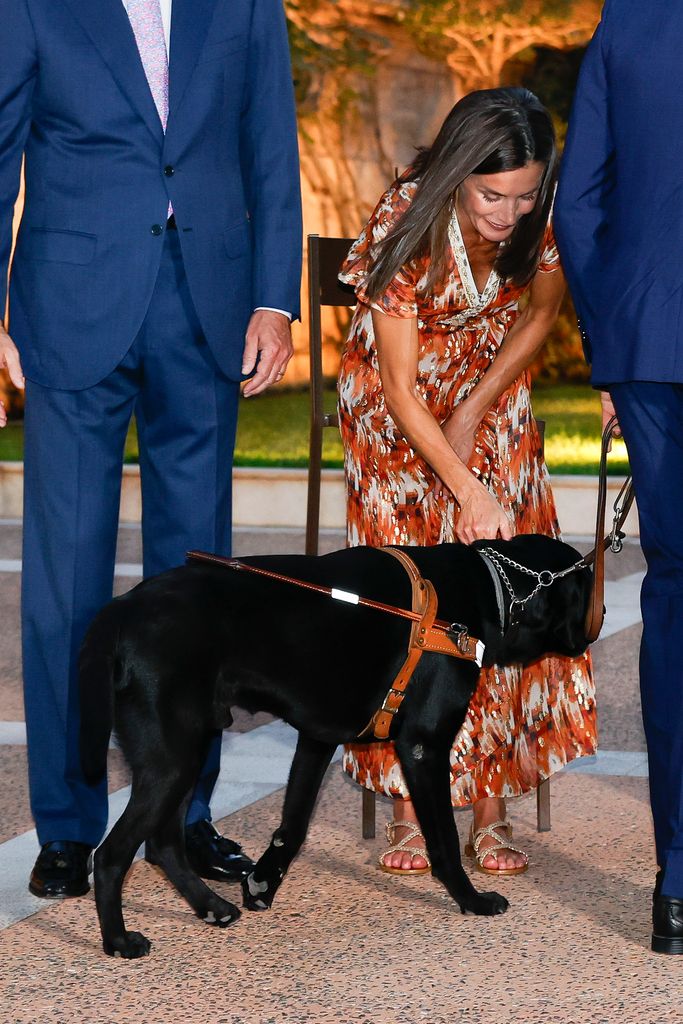 La reina Letizia en la recepción de Marivent acariciando a un perro guía