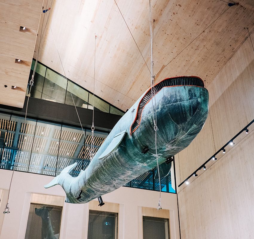 Ballena Poldi, Wien Museum, Viena, Museo, Austria