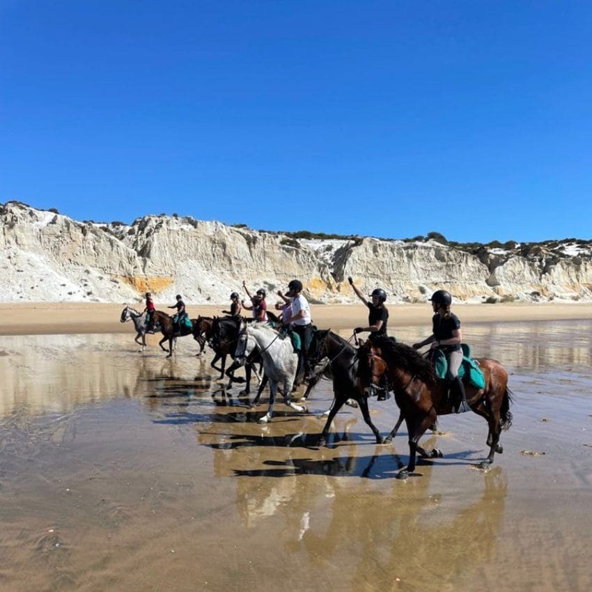 Cabalgando junto al mar en Doñana.