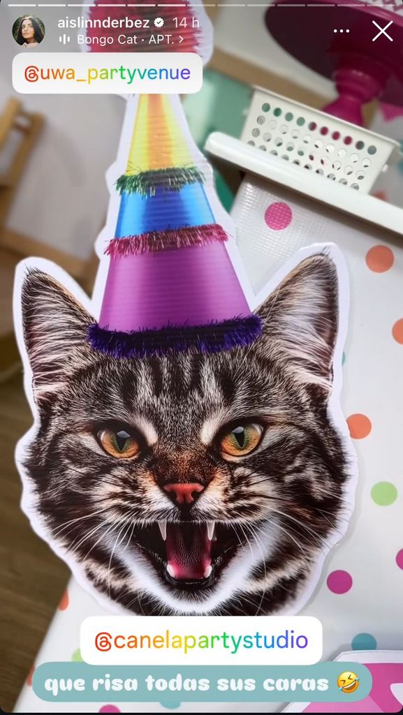 La fiesta estuvo inspirada en el lindo gatito de Kailiani