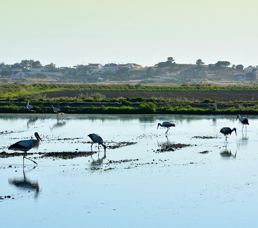 Laguna de Melides, Alentejo, Portugal