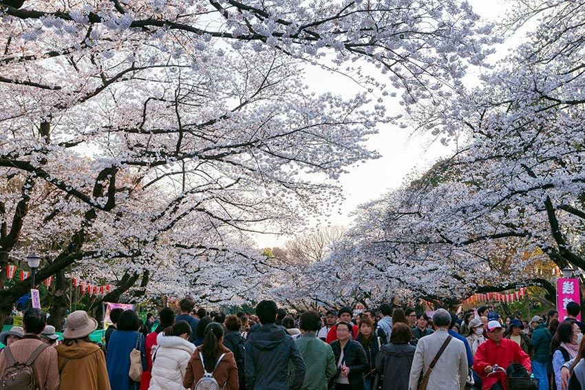 tokio-parques-Ueno