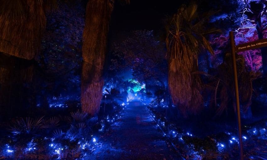 Jardín Botánico de Madrid iluminado por Navidad