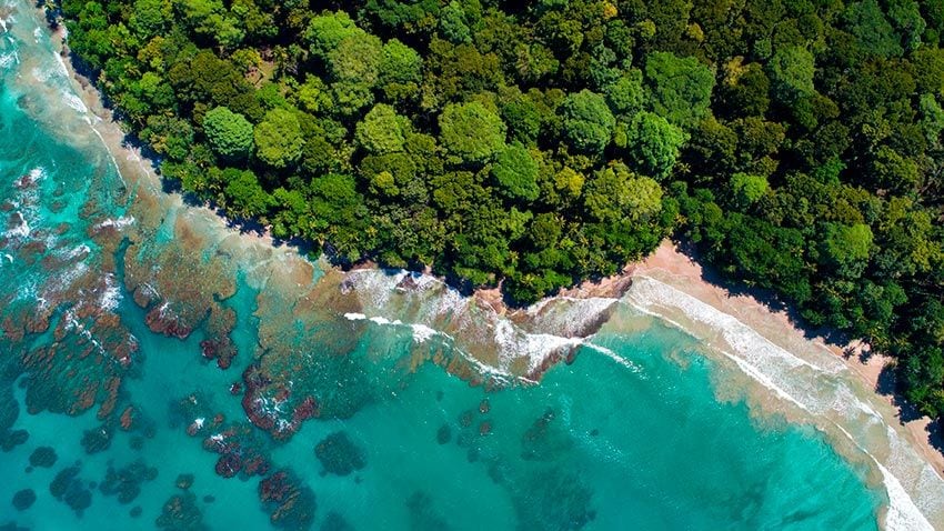 Playa del Caribe, Costa Rica