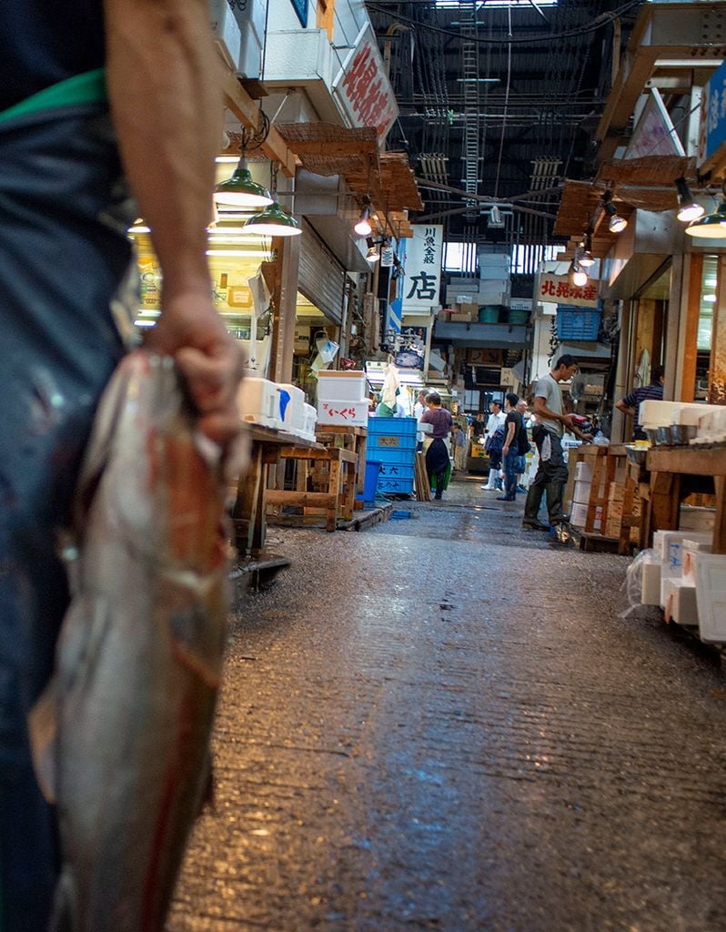 Lonja Tsukiji, Ginza