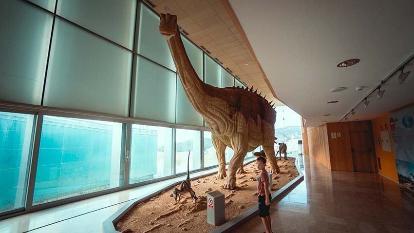  Museo de Paleontología de Castilla-La Mancha