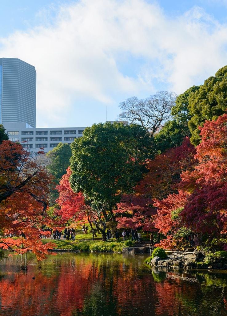 koishikawa korakuen 3a