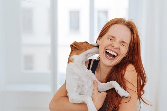 Así funciona el cerebro de tu perro para memorizar y recordar palabras 