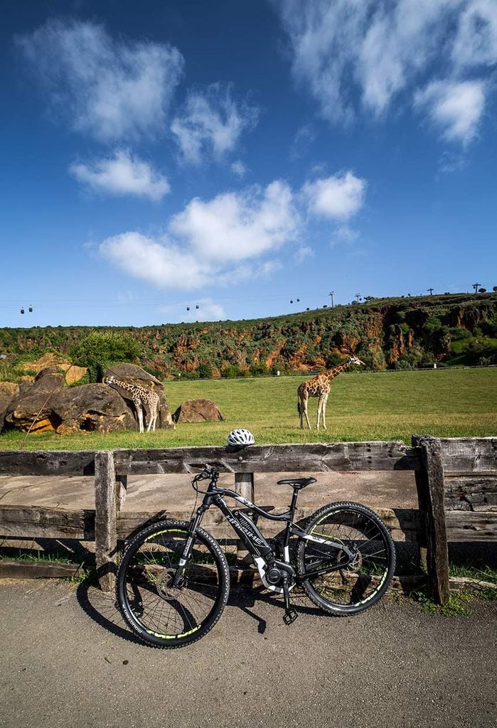 cabarceno-ebikes-3