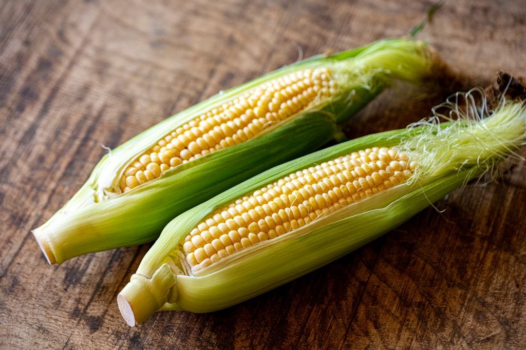 mazorcas de maíz