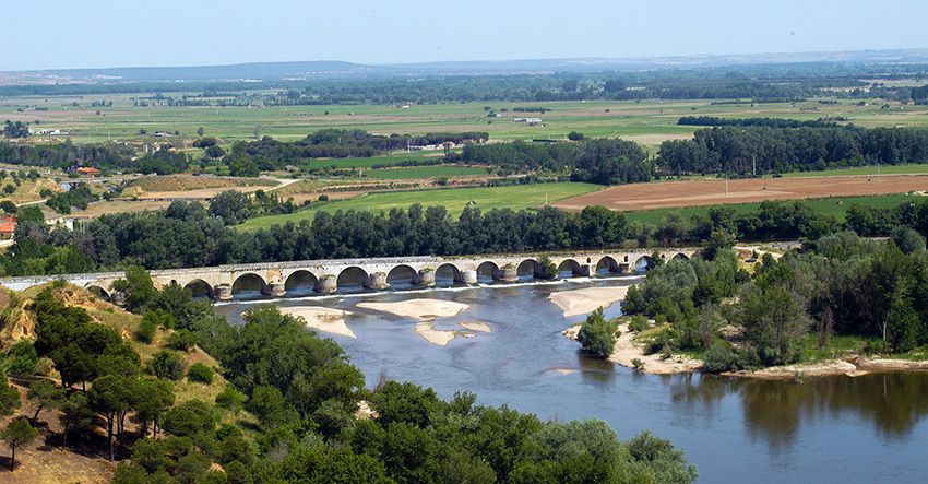 Toro--vega-del-Duero