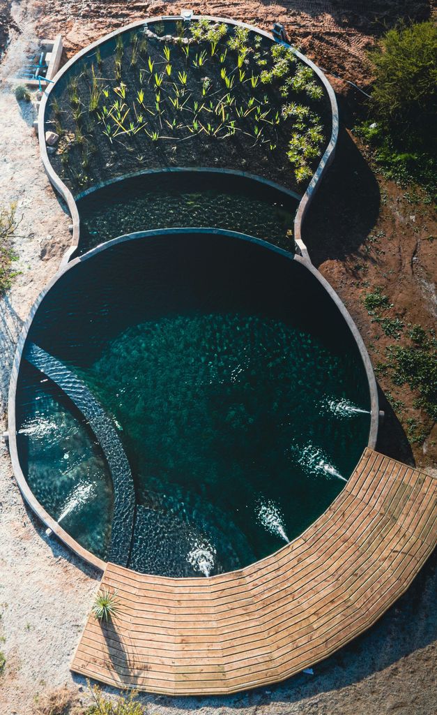 Biopiscina o piscina naturalizada