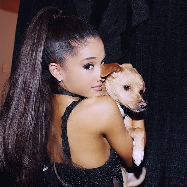 Ariana Grande con su perro