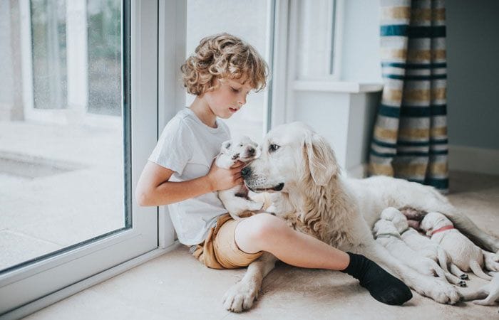 Niño con madre y sus cachorros