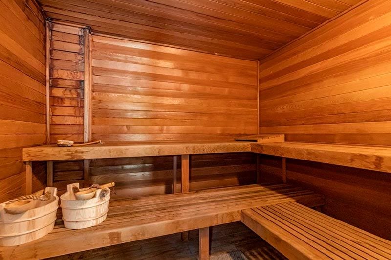 sauna sueca