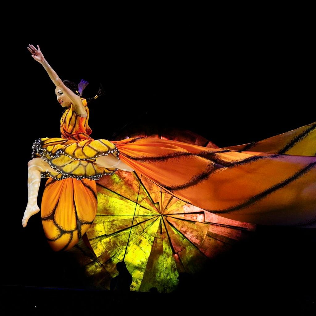 luzia de cirque du soleil ifema 