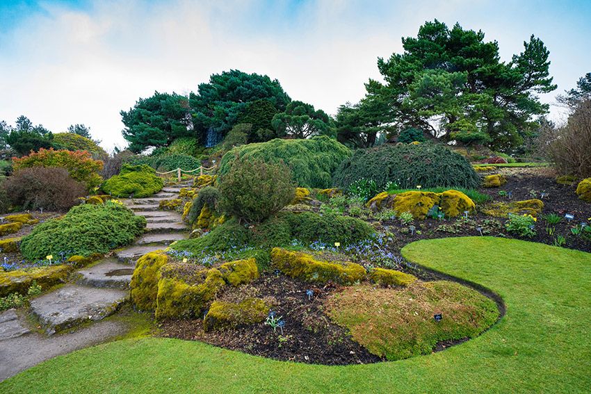 Real Jardín Botánico de Edimburgo, Escocia, Reino Unido