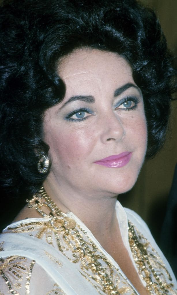 elizabeth taylor at press conference