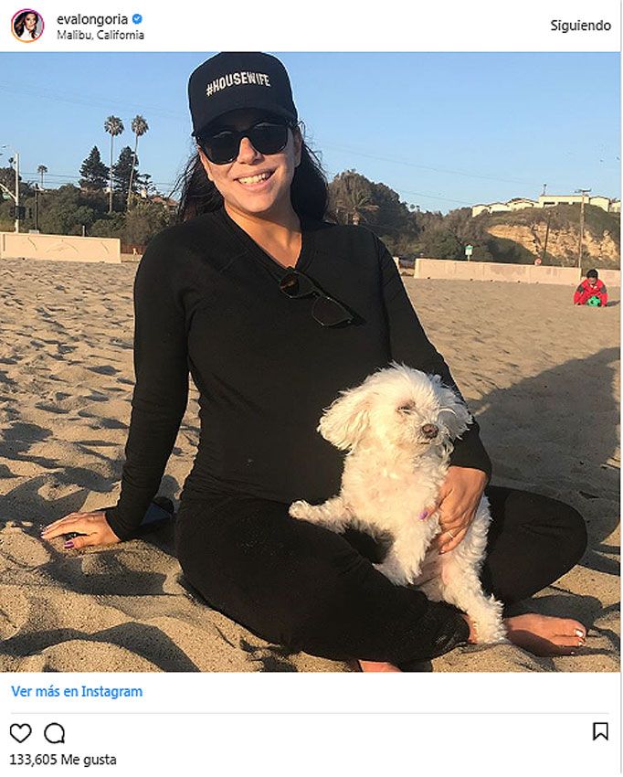 Eva Longoria con su perrito