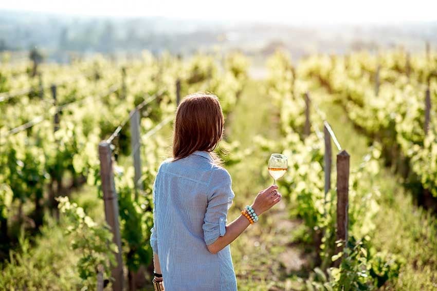 saint-emilion-bodegas