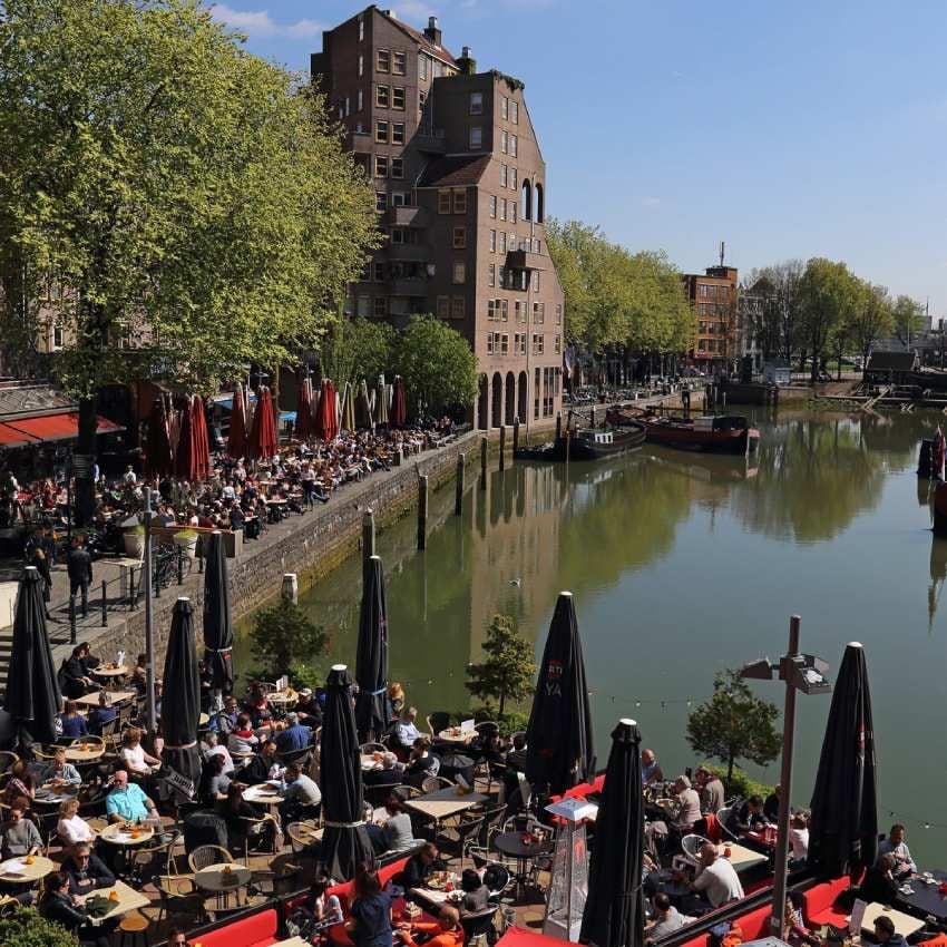 terrazas en el puerto de rotterdam