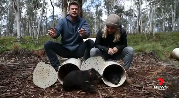 Elsa Pataky y Chris Hemsworth