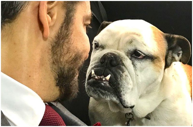 eugenio derbez perro6