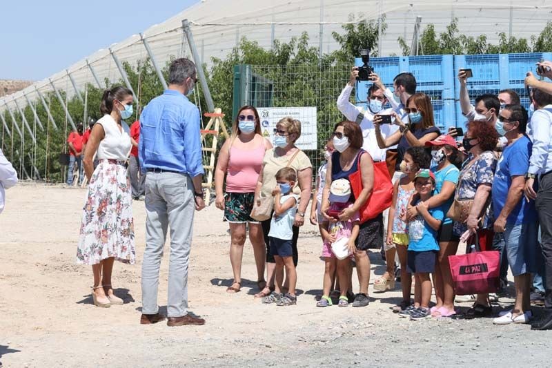 Reyes Felipe y Letizia