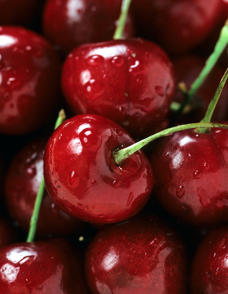 'Amigas' de la línea, diuréticas, antioxidantes… diez razones para incluir las cerezas en la dieta