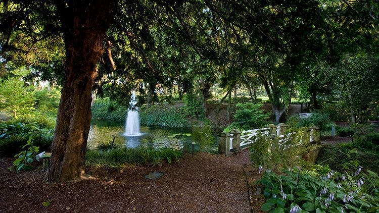 Jardin-Botanico-Gijon_a