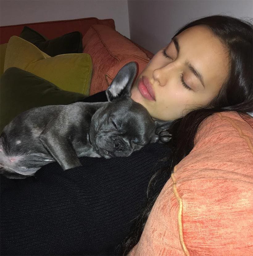 irina_shayk_perro_1a