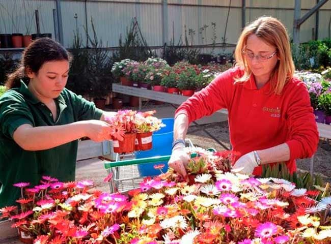 Trabajadores de Gardeniers en el vivero