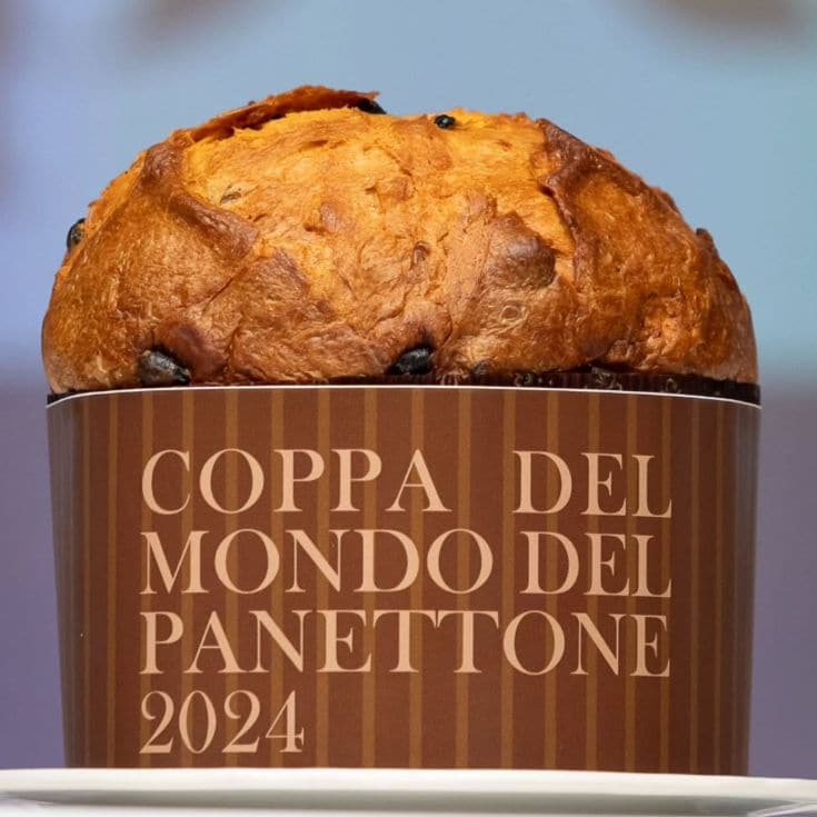 Panettone de Suca'l