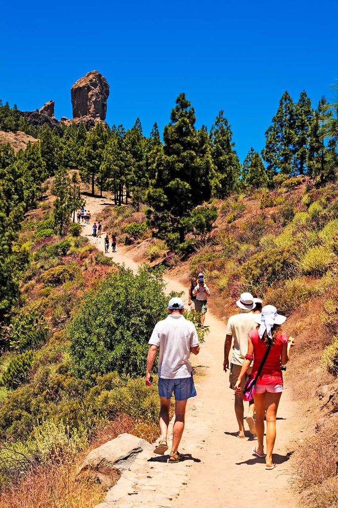 Ruta hacia Roque Nublo, Gran Canaria 