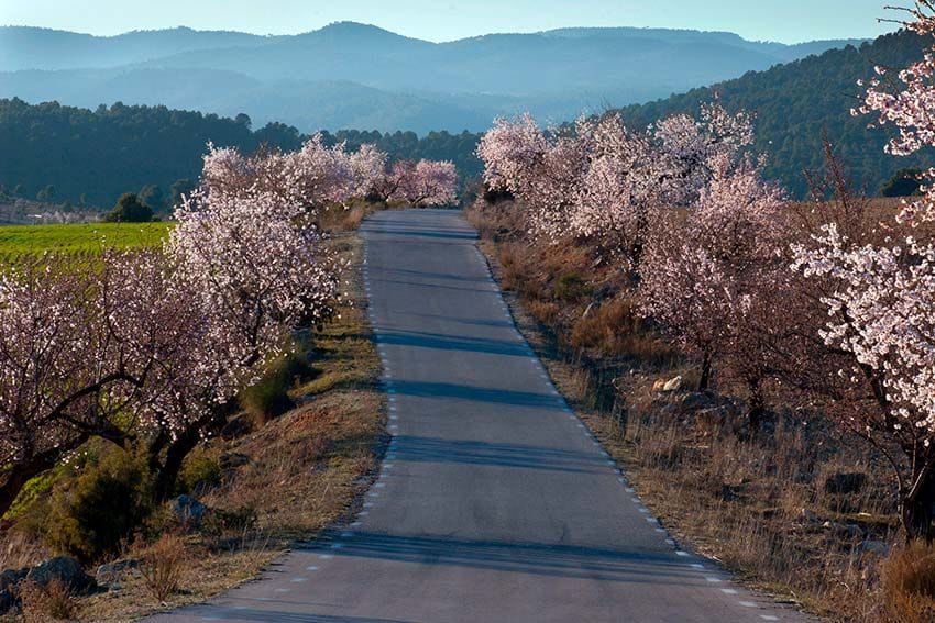 sierra del segura t774by