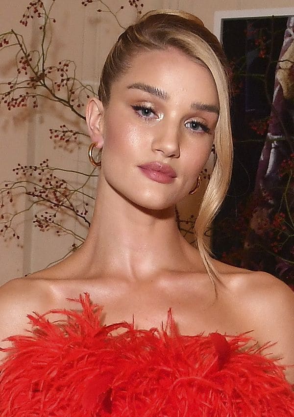 rosie hw mechon