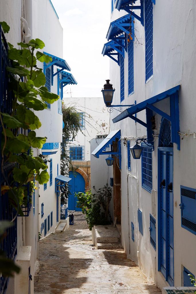 sidi bou said