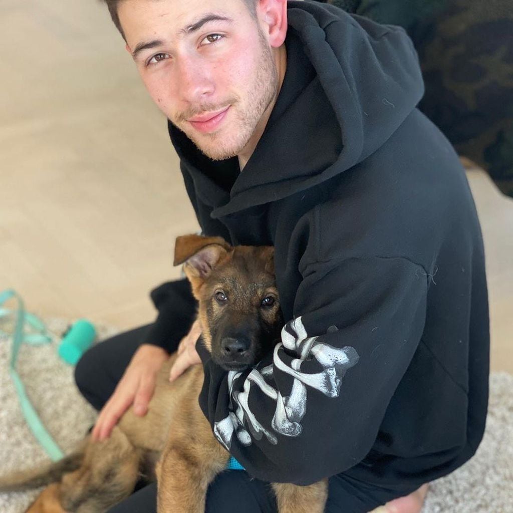 nick-jonas-mascota-1a