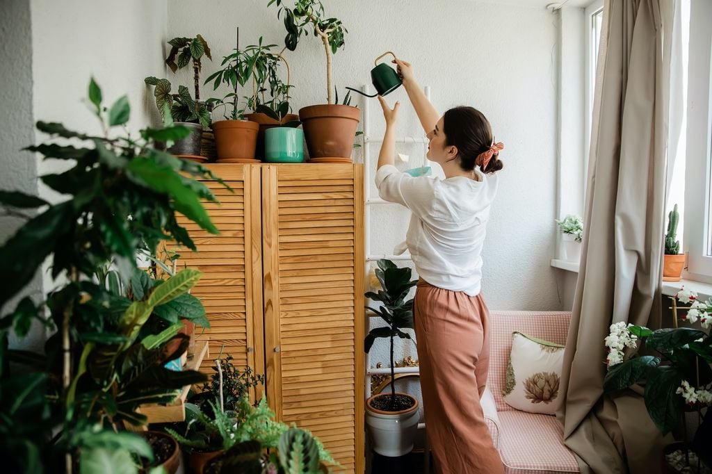 Mujer regando plantas de interior