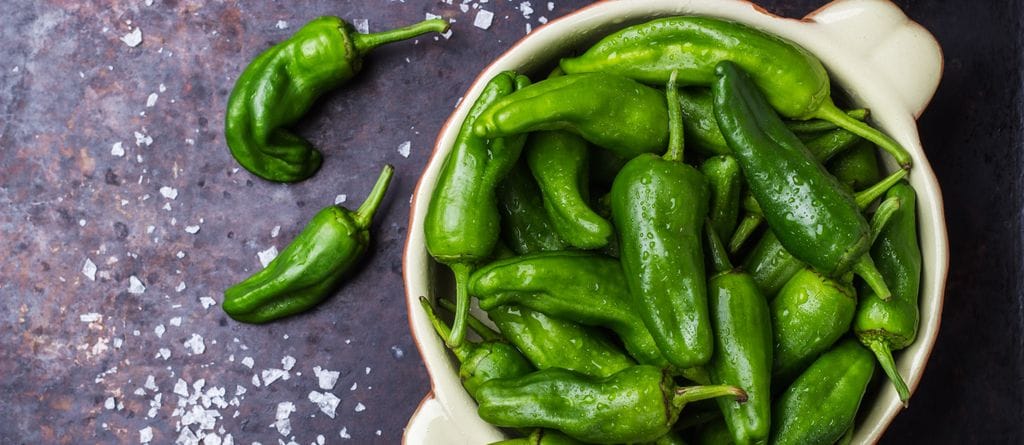 Whether they bite or not, it’s Padrón pepper season