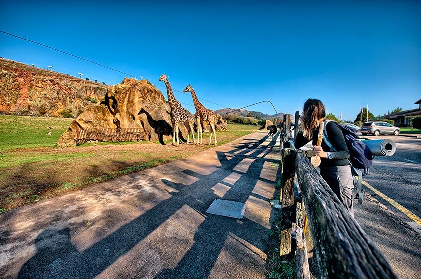 Parque de la Naturaleza de Cabárceno, Cantabria